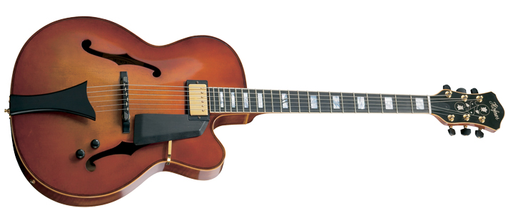 Hofner thin store president